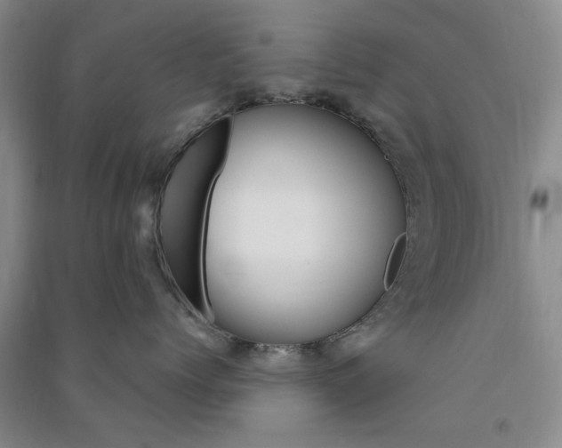 X0000091360768200708171524