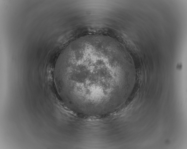 X0000091360770200708171523