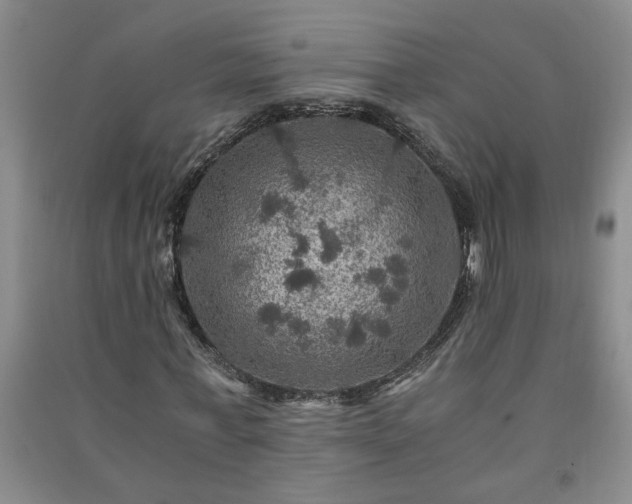 X0000091360771200708171523