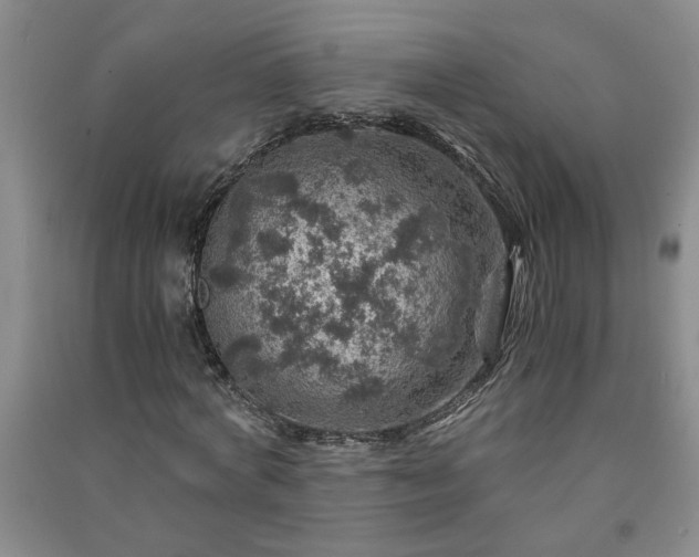 X0000091360772200708171523
