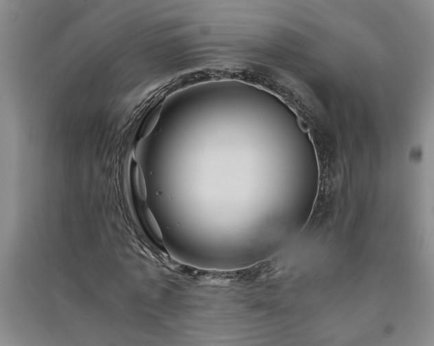 X0000091360773200708171523