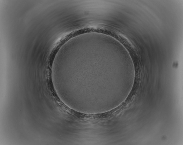 X0000091360776200708171523