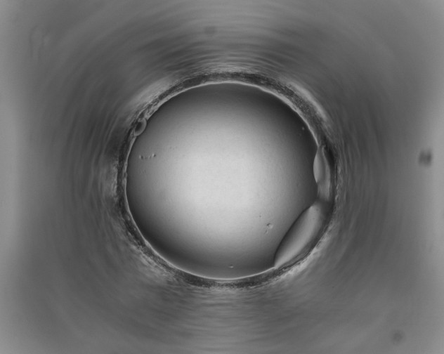 X0000091360777200708171523