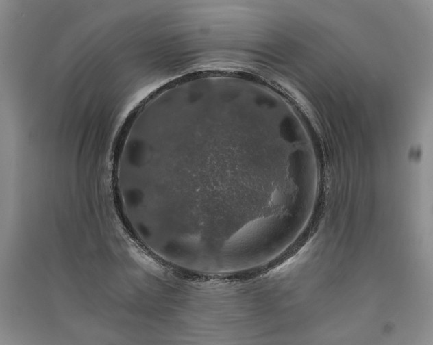 X0000091360779200708171523
