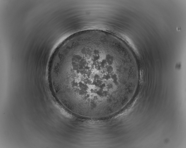 X0000091360780200708171523