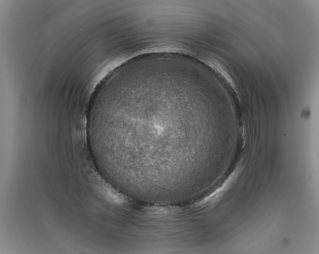 X0000091360781200708171523