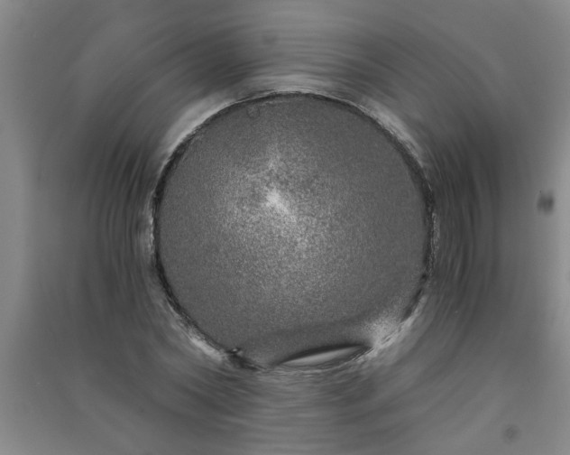 X0000091360782200708171523