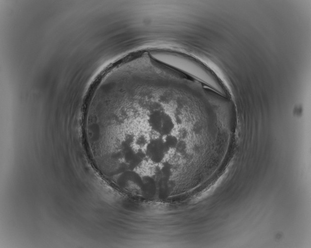 X0000091360783200708171523