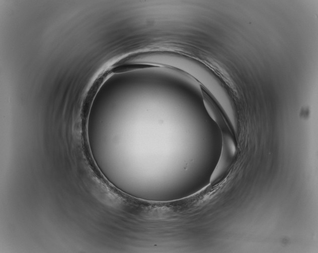 X0000091360784200708171523