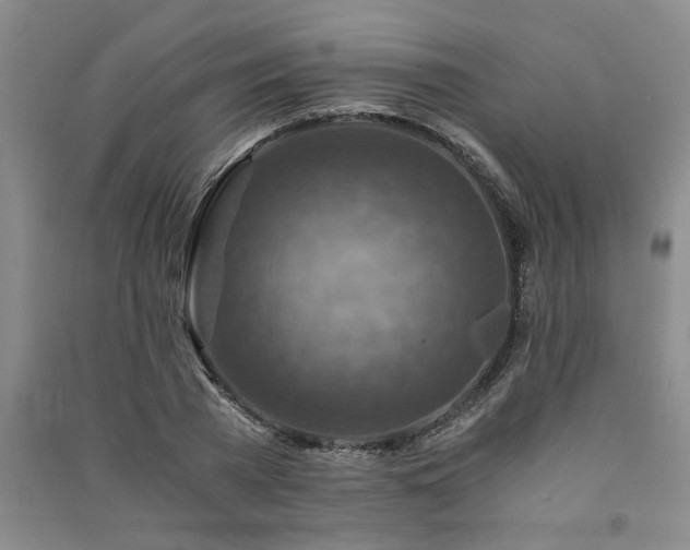 X0000091360785200708171523