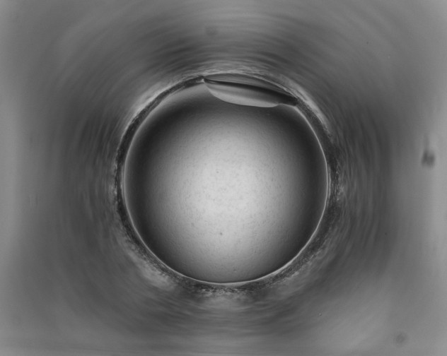 X0000091360786200708171523