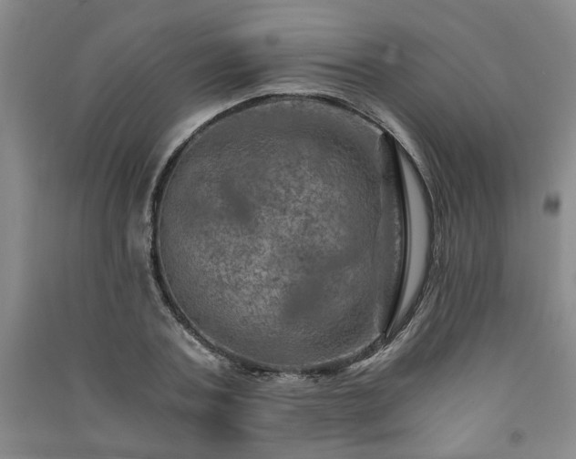X0000091360787200708171523