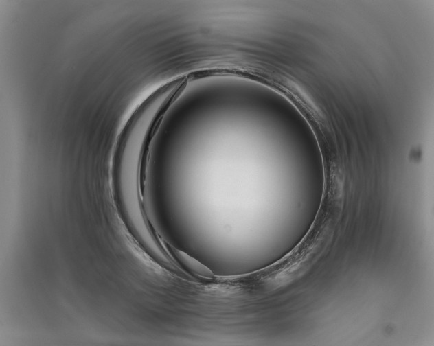 X0000091360788200708171523