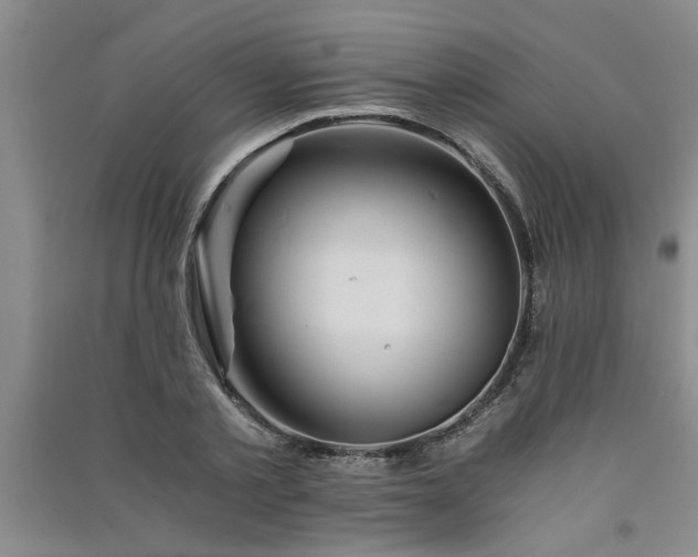 X0000091360789200708171523