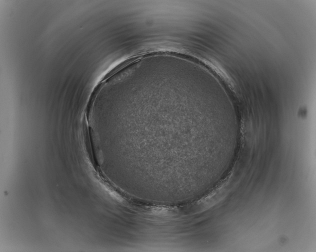 X0000091360790200708171523