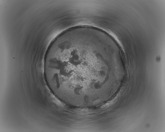 X0000091360791200708171523