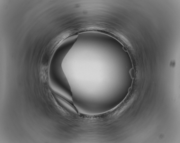 X0000091360793200708171523