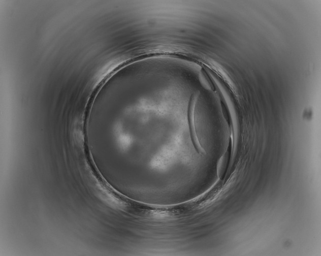 X0000091360794200708171523