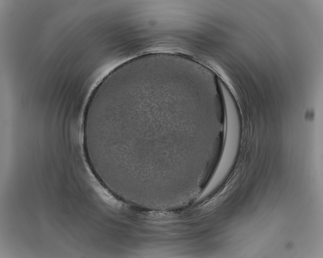 X0000091360795200708171523