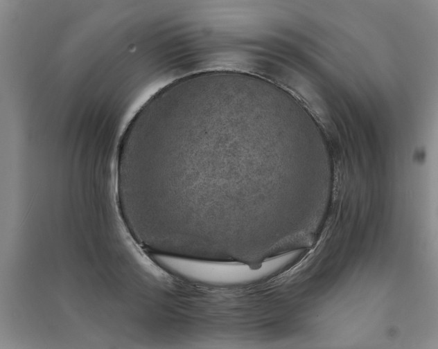X0000091360796200708171523