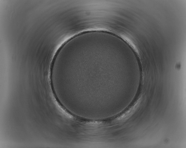 X0000091360797200708171523