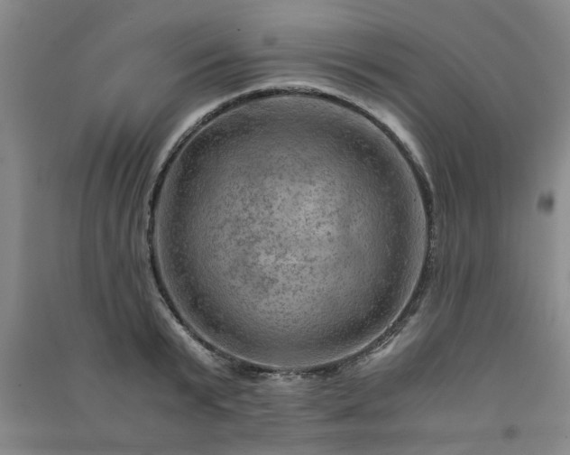 X0000091360799200708171523