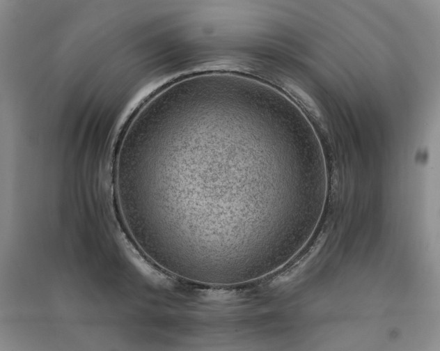 X0000091360800200708171523