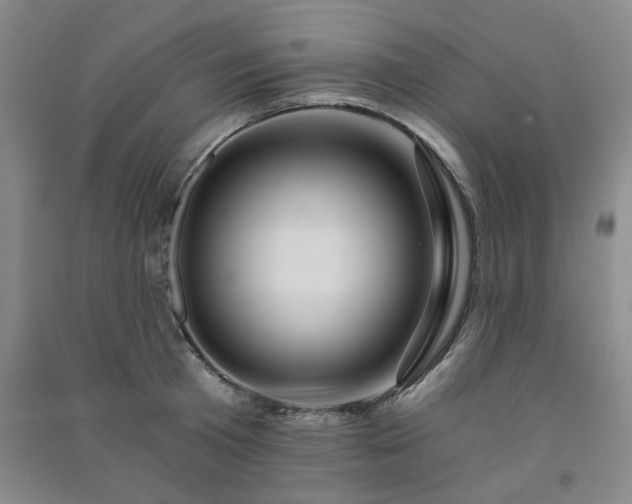 X0000091360801200708171522