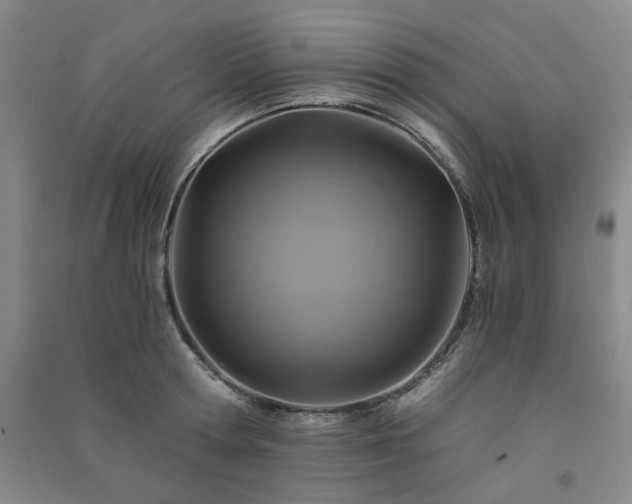 X0000091360802200708171522