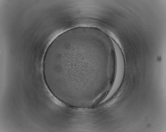 X0000091360803200708171522