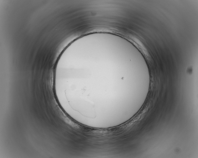 X0000091360804200708171522