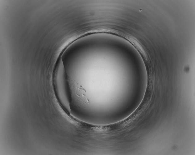 X0000091360805200708171522