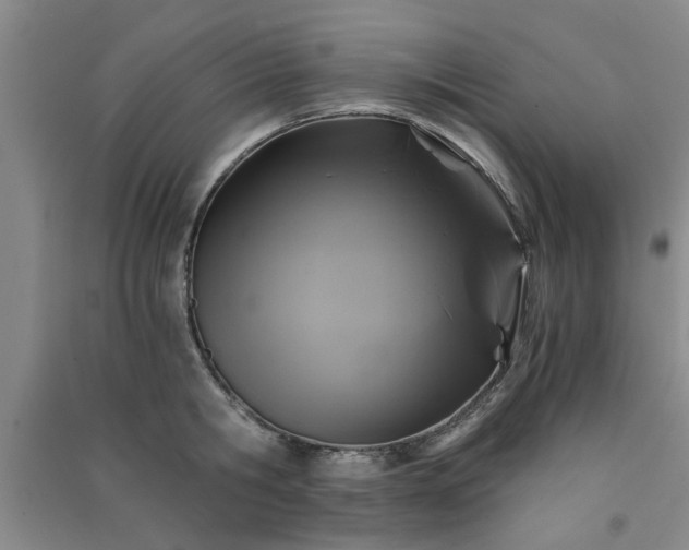 X0000091360806200708171522