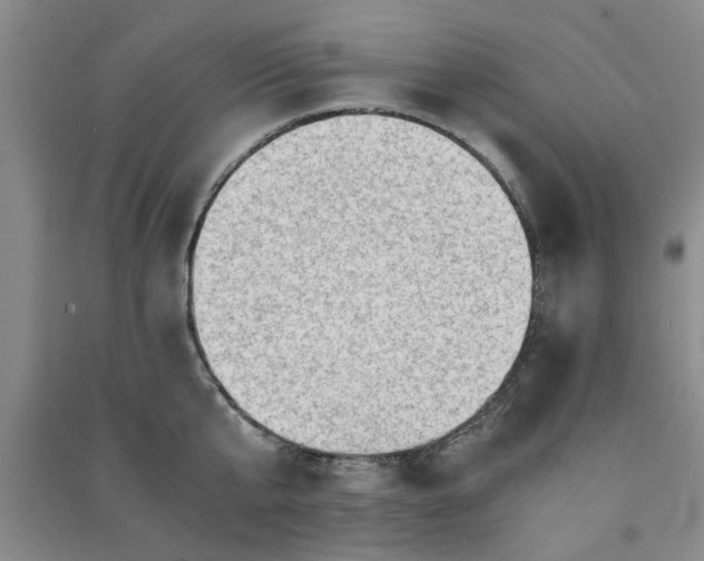 X0000091360807200708171522