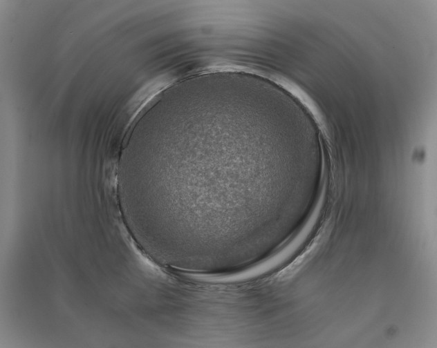X0000091360809200708171522