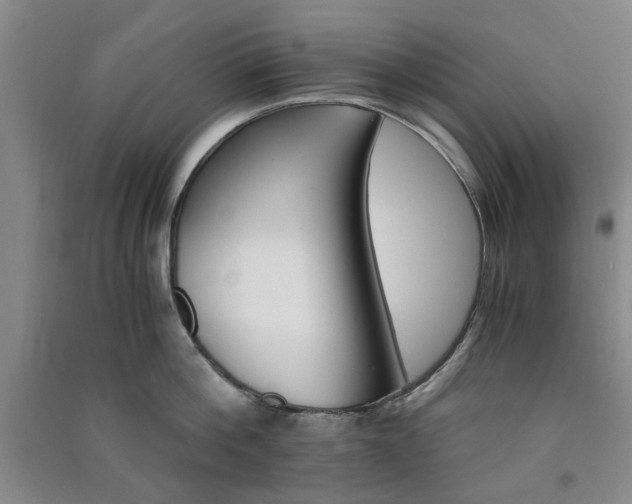 X0000091360812200708171522