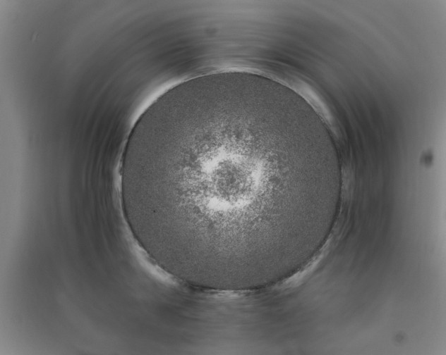 X0000091360814200708171522