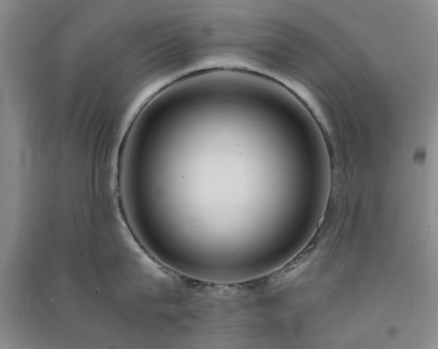 X0000091360815200708171522