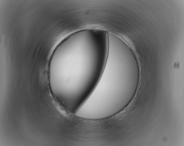 X0000091360816200708171522
