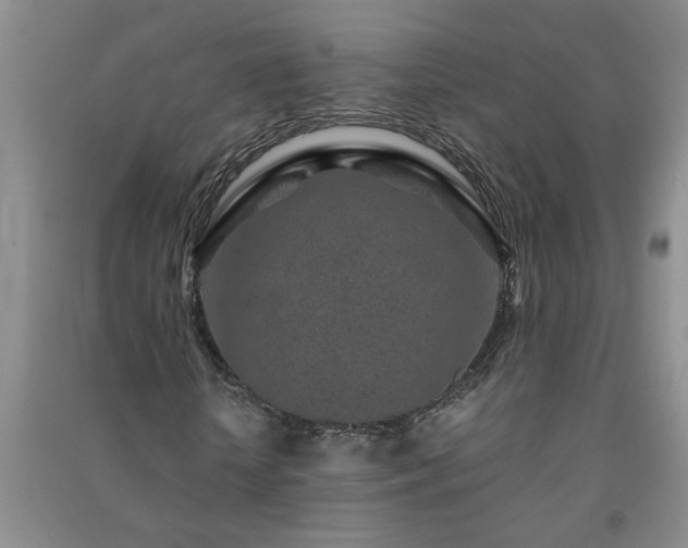 X0000091360818200708171522