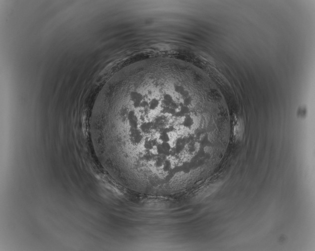 X0000091360819200708171522