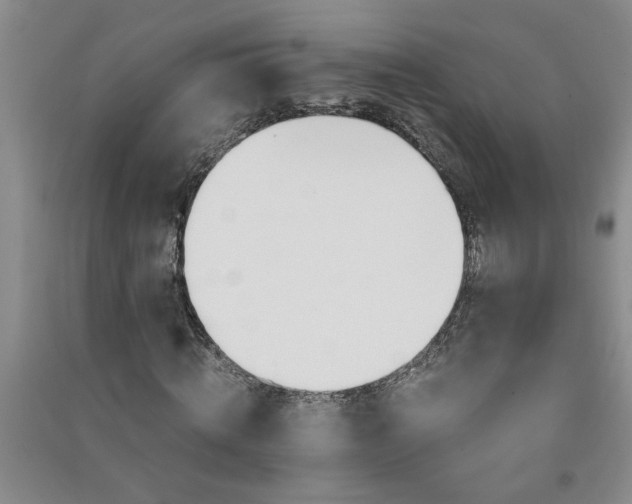 X0000091360820200708171522