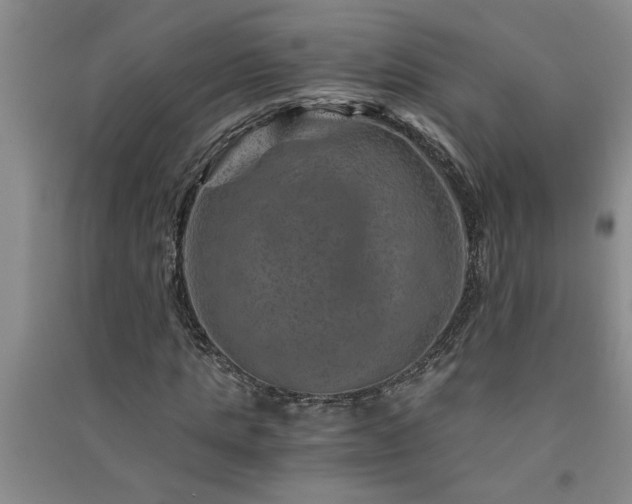 X0000091360821200708171522