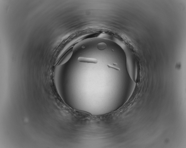 X0000091360822200708171522