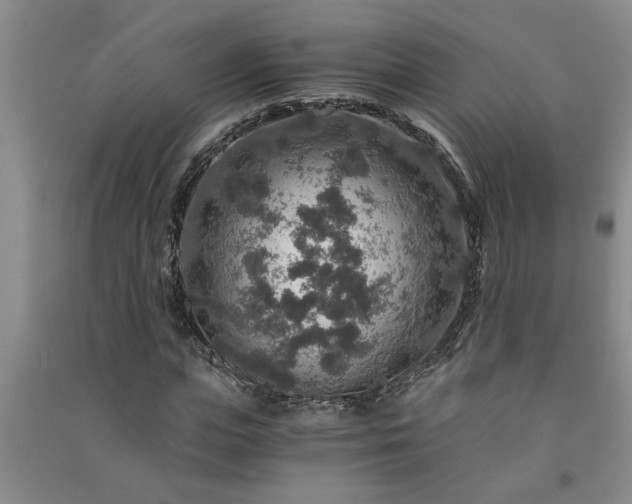 X0000091360823200708171522
