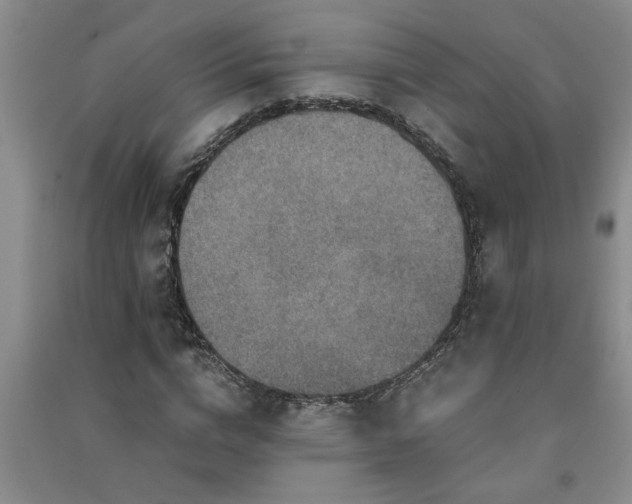 X0000091360824200708171522