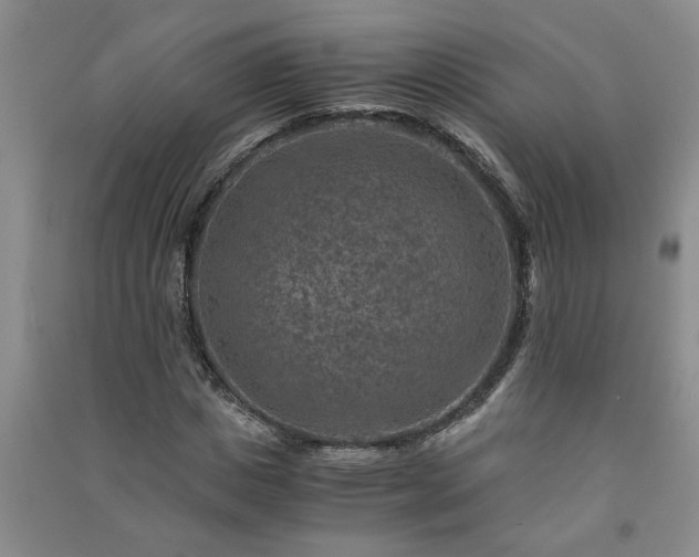 X0000091360825200708171522