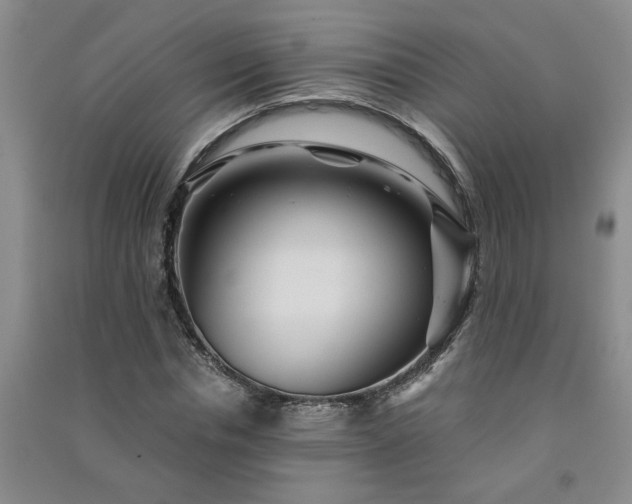 X0000091360826200708171522