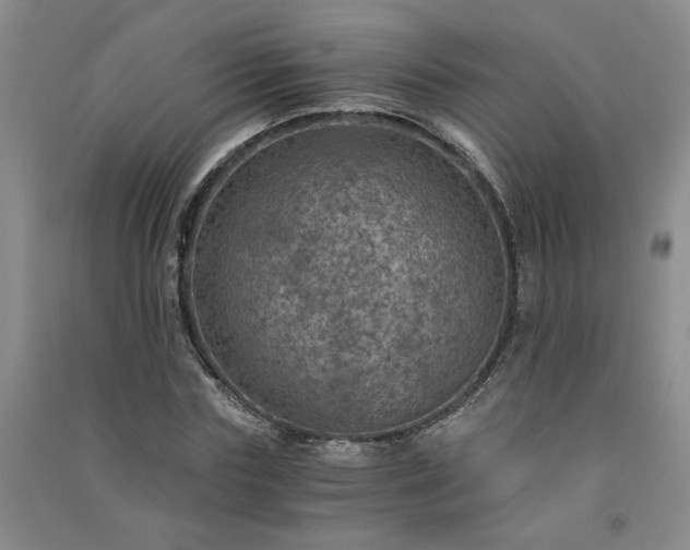 X0000091360827200708171522