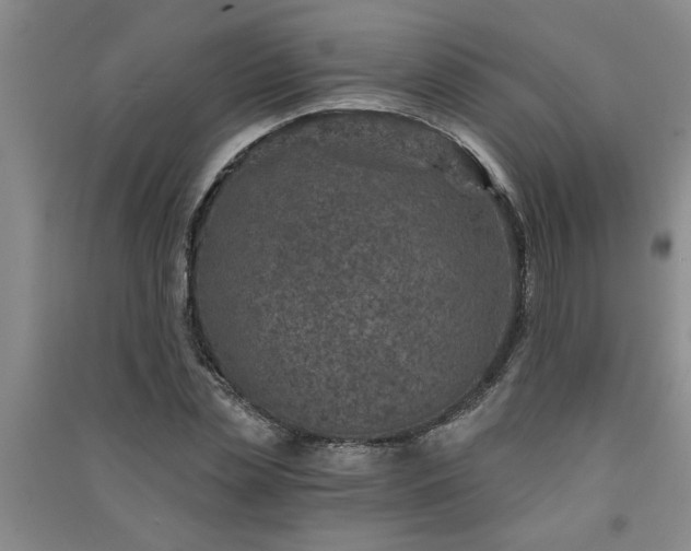 X0000091360829200708171522